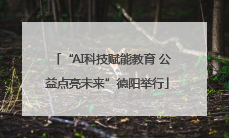 “AI科技赋能教育 公益点亮未来”德阳举行
