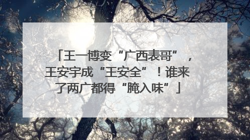 王一博变“广西表哥”，王安宇成“王安全”！谁来了两广都得“腌入味”