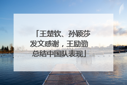 王楚钦、孙颖莎发文感谢，王励勤总结中国队表现