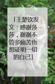 王楚钦发文：感谢莎莎，谢谢不管多痛苦也想证明一切的自己