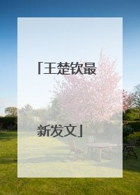 王楚钦最新发文