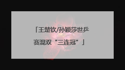 王楚钦/孙颖莎世乒赛混双“三连冠”