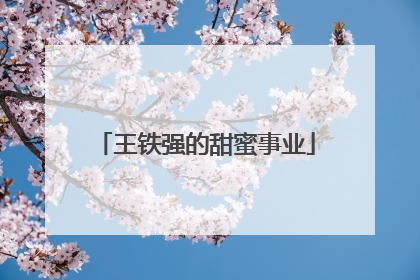 王铁强的甜蜜事业