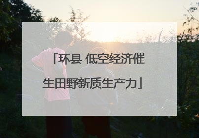 环县 低空经济催生田野新质生产力