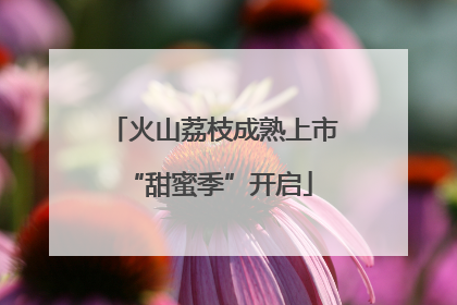 火山荔枝成熟上市 “甜蜜季”开启