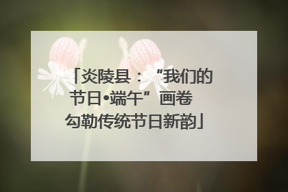 炎陵县：“我们的节日•端午”画卷 勾勒传统节日新韵