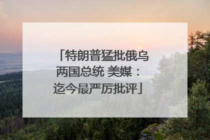 特朗普猛批俄乌两国总统 美媒：迄今最严厉批评