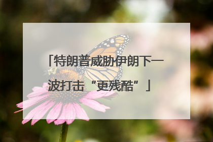 特朗普威胁伊朗下一波打击“更残酷”