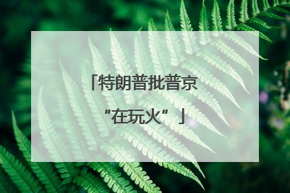 特朗普批普京“在玩火”