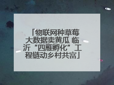 物联网种草莓 大数据卖黄瓜 临沂“四雁孵化”工程链动乡村共富