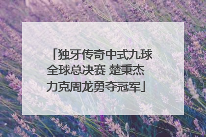 独牙传奇中式九球全球总决赛 楚秉杰力克周龙勇夺冠军
