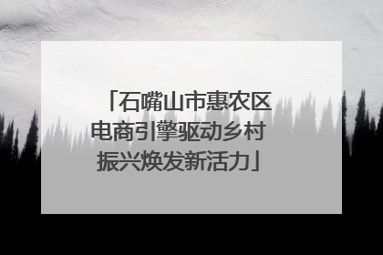 石嘴山市惠农区电商引擎驱动乡村振兴焕发新活力