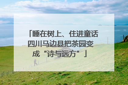 睡在树上、住进童话 四川马边县把茶园变成“诗与远方”