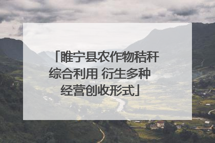 睢宁县农作物秸秆综合利用 衍生多种经营创收形式
