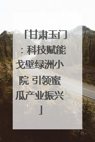 甘肃玉门：科技赋能戈壁绿洲小院 引领蜜瓜产业振兴