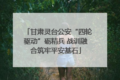 甘肃灵台公安“四轮驱动”砺精兵 战训融合筑牢平安基石