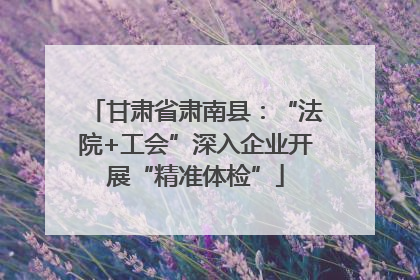 甘肃省肃南县：“法院+工会”深入企业开展“精准体检”
