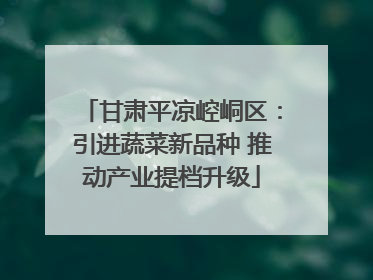 甘肃平凉崆峒区：引进蔬菜新品种 推动产业提档升级
