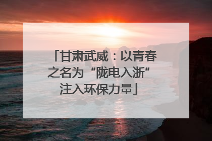 甘肃武威：以青春之名为“陇电入浙”注入环保力量