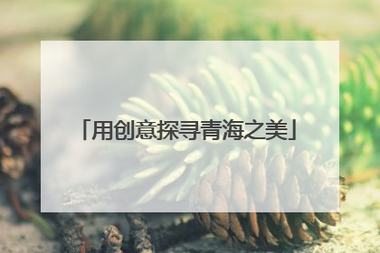 用创意探寻青海之美