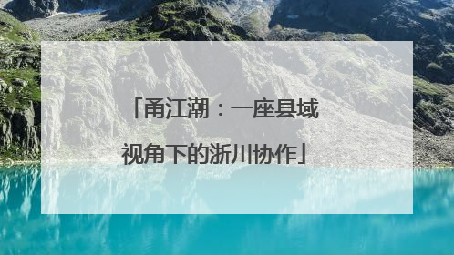 甬江潮：一座县域视角下的浙川协作