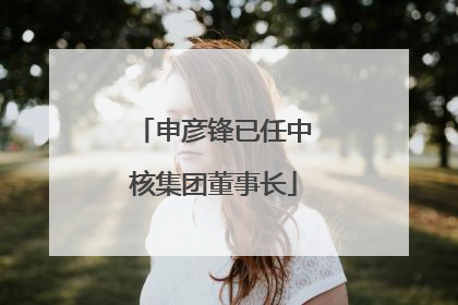 申彦锋已任中核集团董事长
