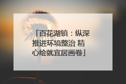 百花湖镇：纵深推进环境整治 精心绘就宜居画卷