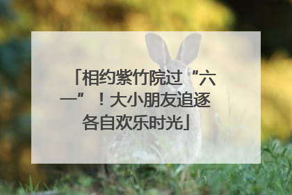 相约紫竹院过“六一”！大小朋友追逐各自欢乐时光