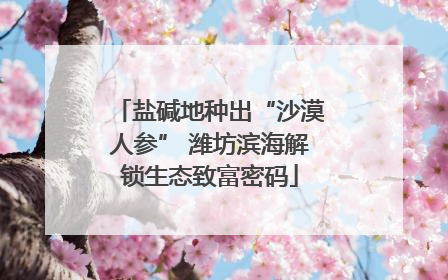 盐碱地种出“沙漠人参” 潍坊滨海解锁生态致富密码