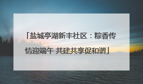 盐城亭湖新丰社区：粽香传情迎端午 共建共享促和谐