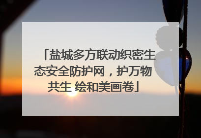 盐城多方联动织密生态安全防护网，护万物共生 绘和美画卷