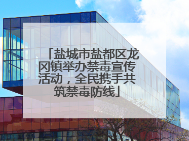 盐城市盐都区龙冈镇举办禁毒宣传活动，全民携手共筑禁毒防线
