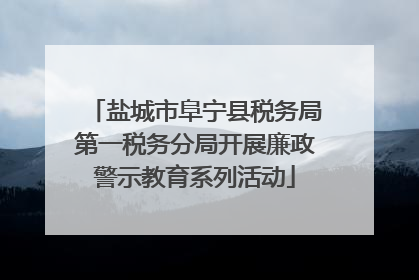 盐城市阜宁县税务局第一税务分局开展廉政警示教育系列活动