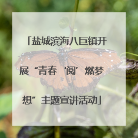 盐城滨海八巨镇开展“青春‘阅’燃梦想”主题宣讲活动