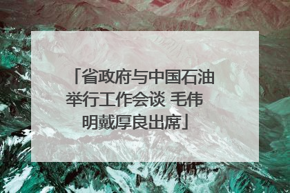 省政府与中国石油举行工作会谈 毛伟明戴厚良出席