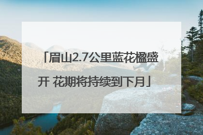眉山2.7公里蓝花楹盛开 花期将持续到下月
