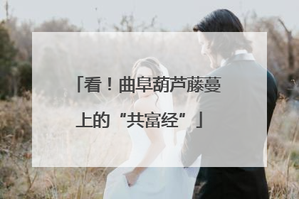 看！曲阜葫芦藤蔓上的“共富经”