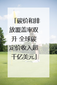 碳价和排放覆盖率双升 全球碳定价收入超千亿美元