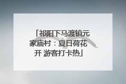 祁阳下马渡镇元家庙村：夏日荷花开 游客打卡热
