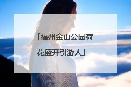 福州金山公园荷花盛开引游人