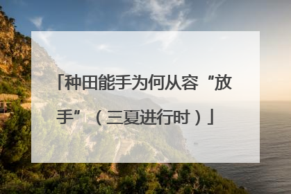 种田能手为何从容“放手”（三夏进行时）