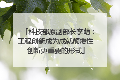 科技部原副部长李萌：工程创新成为成就颠覆性创新更重要的形式