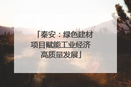 秦安：绿色建材项目赋能工业经济高质量发展