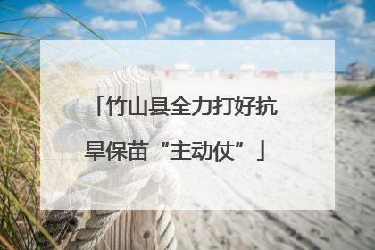竹山县全力打好抗旱保苗“主动仗”