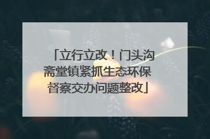 立行立改！门头沟斋堂镇紧抓生态环保督察交办问题整改