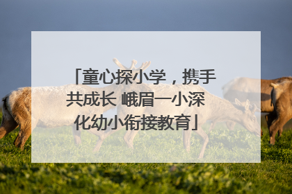 童心探小学，携手共成长 峨眉一小深化幼小衔接教育