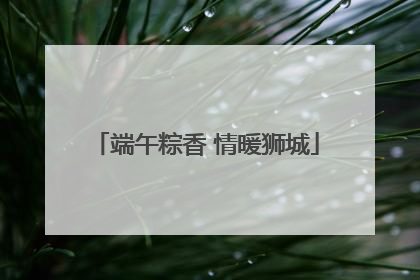 端午粽香 情暖狮城