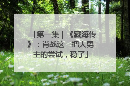 第一集｜《藏海传》：肖战这一把大男主的尝试，稳了