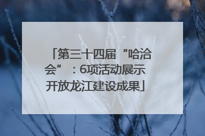 第三十四届“哈洽会”：6项活动展示开放龙江建设成果
