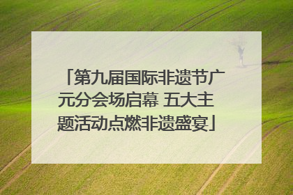 第九届国际非遗节广元分会场启幕 五大主题活动点燃非遗盛宴
